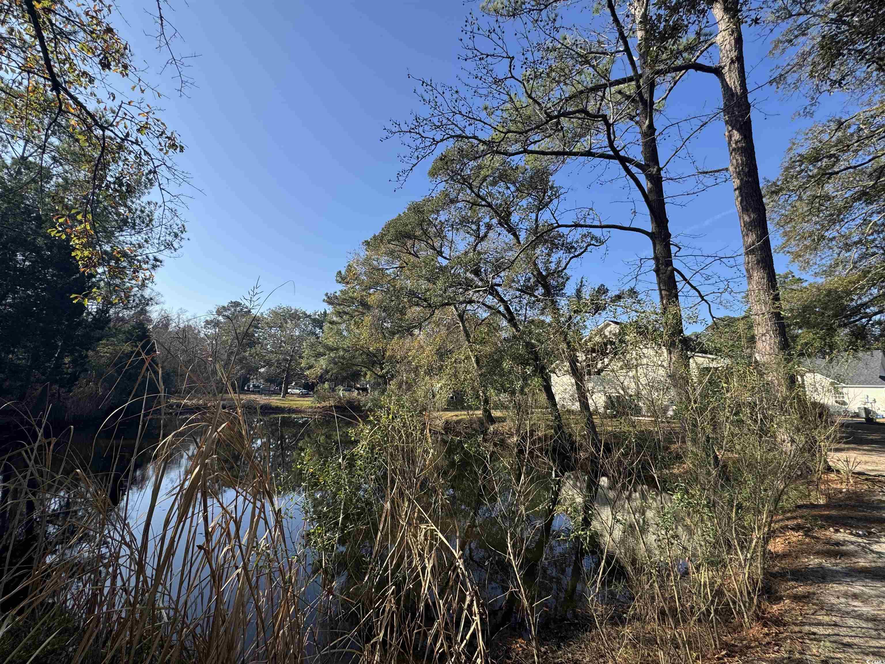 1735 Rice Street Georgetown, SC 29440 - Photo 33 of 34 Water view