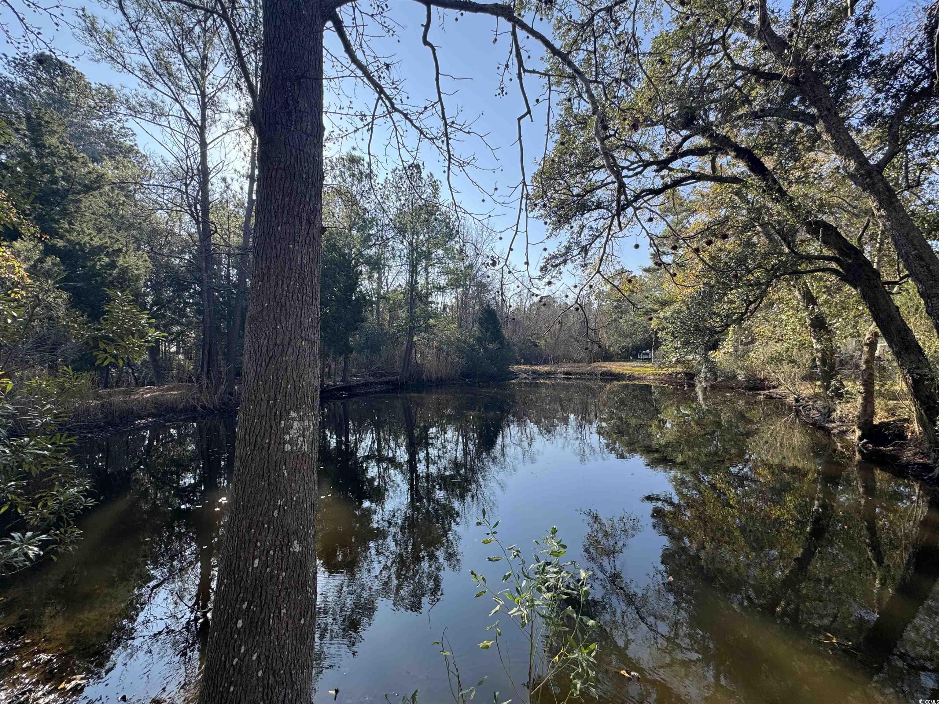 1735 Rice Street Georgetown, SC 29440 - Photo 34 of 34 Water view with a heavily wooded area