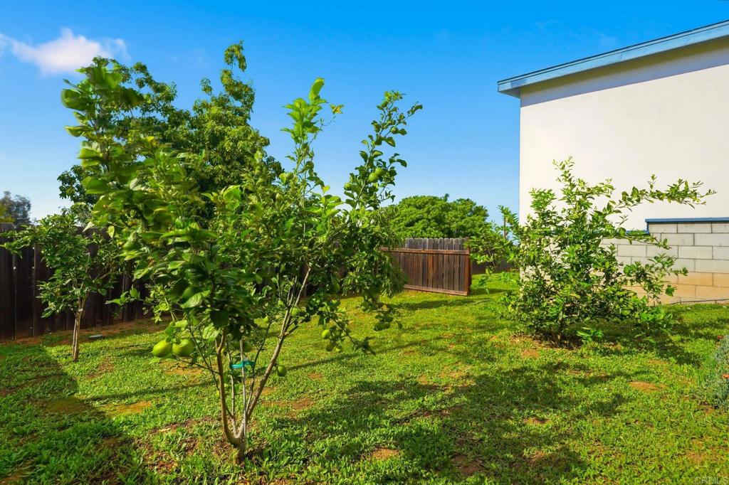 227 Astro Court Vista, CA 92083 - Photo 22 of 28