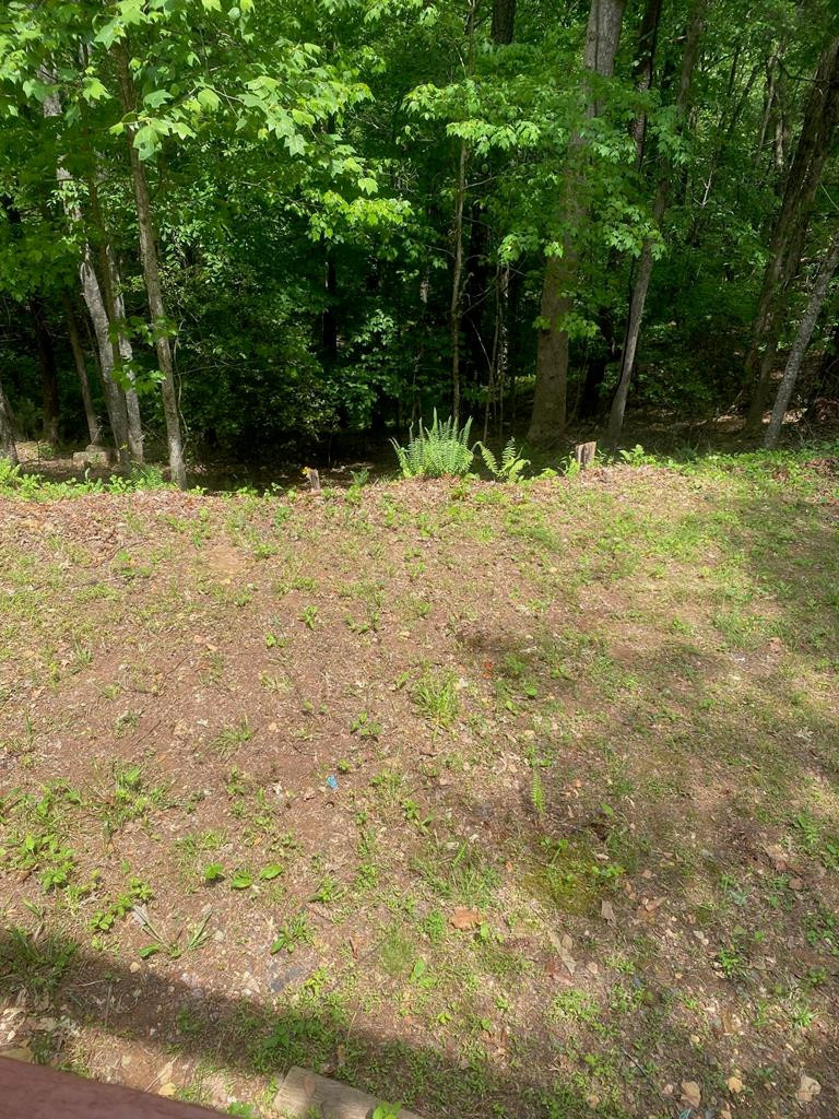 414 Laurel Cove Road Murphy, NC 28906 - Photo 9 of 12 Gallery Image 9