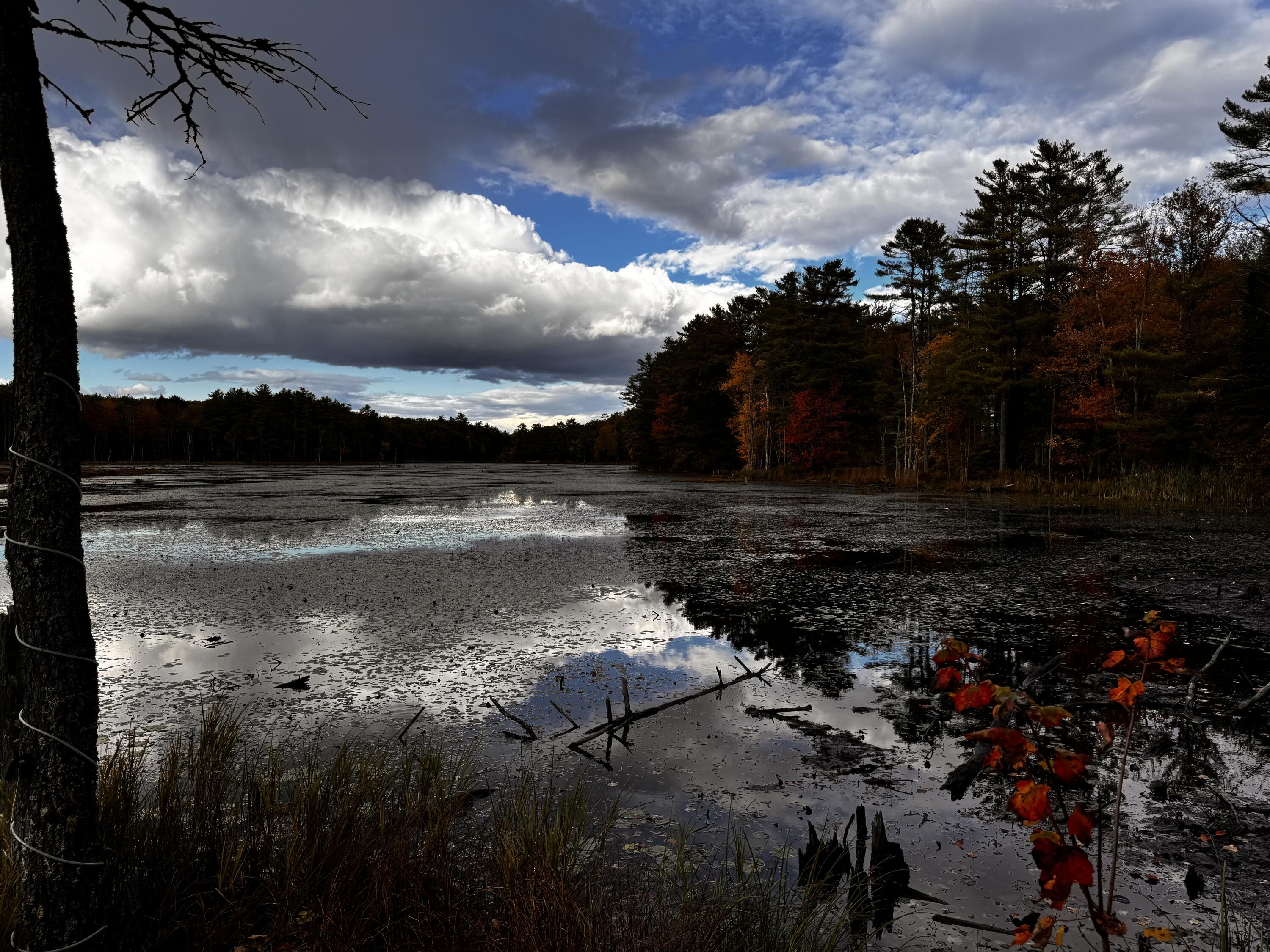 1150 Alna Road Alna, ME 04535 - Photo 35 of 44 IMG_9668