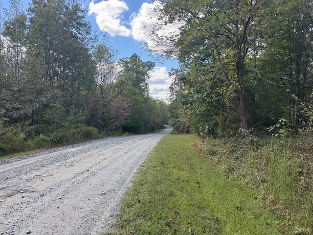 a view of a yard with trees