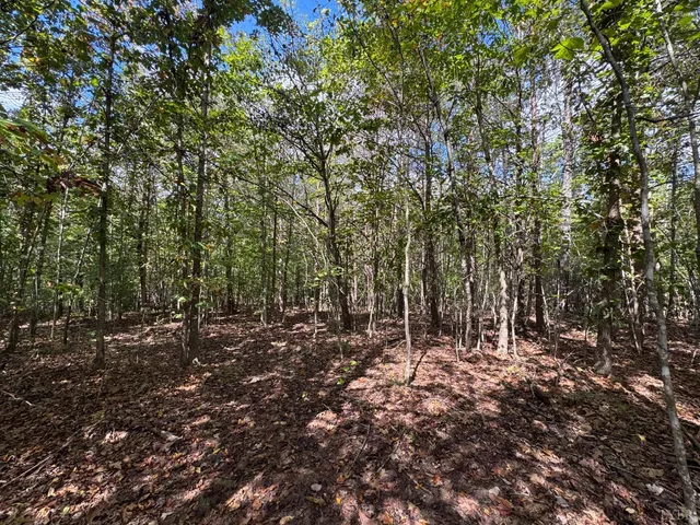 a view of outdoor space with trees
