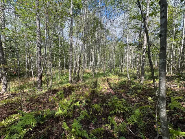a view of residential houses with green trees