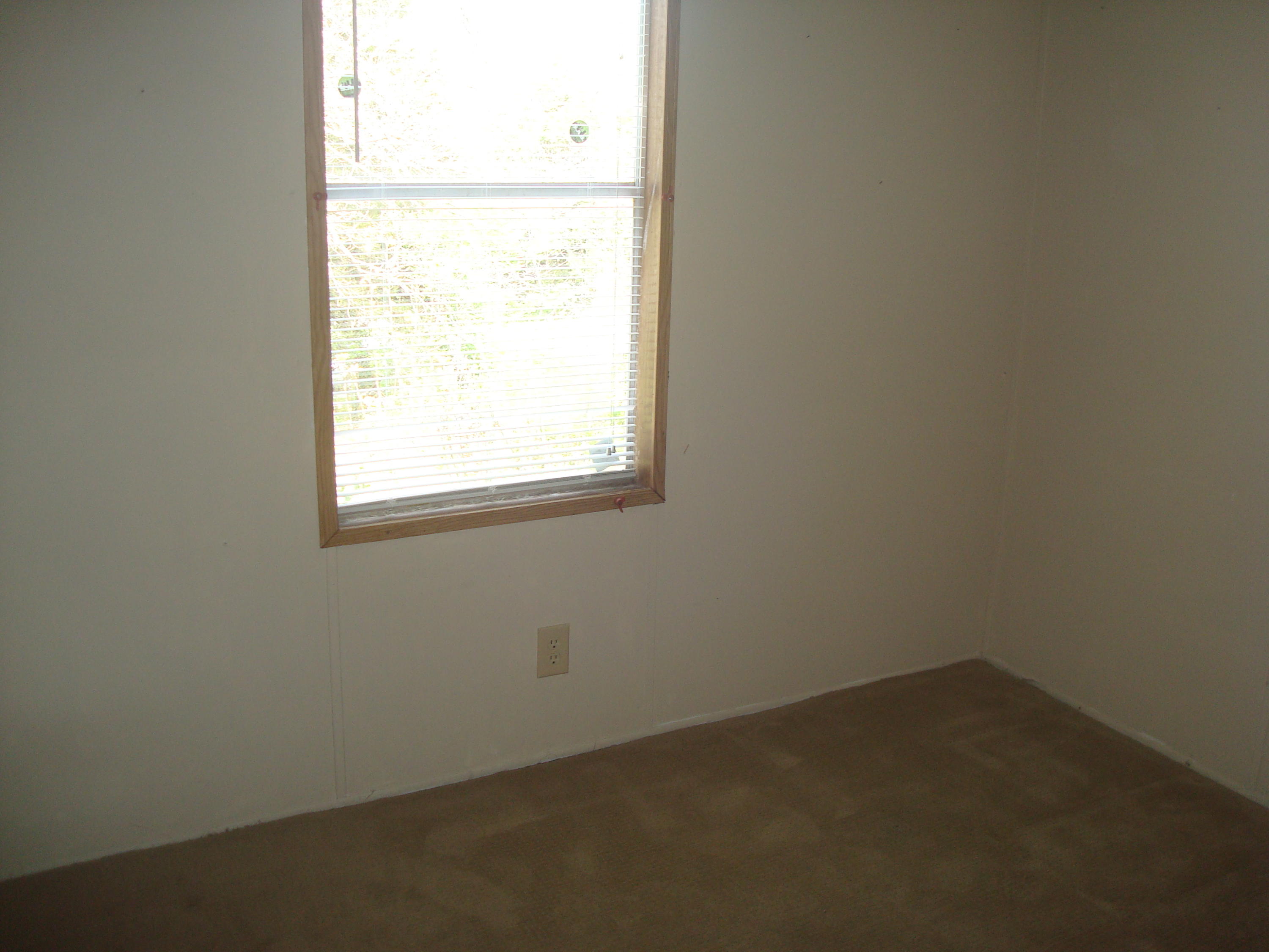 5316 Carter Road Knoxville, TN 37918 - Photo 15 of 17 DSC02447