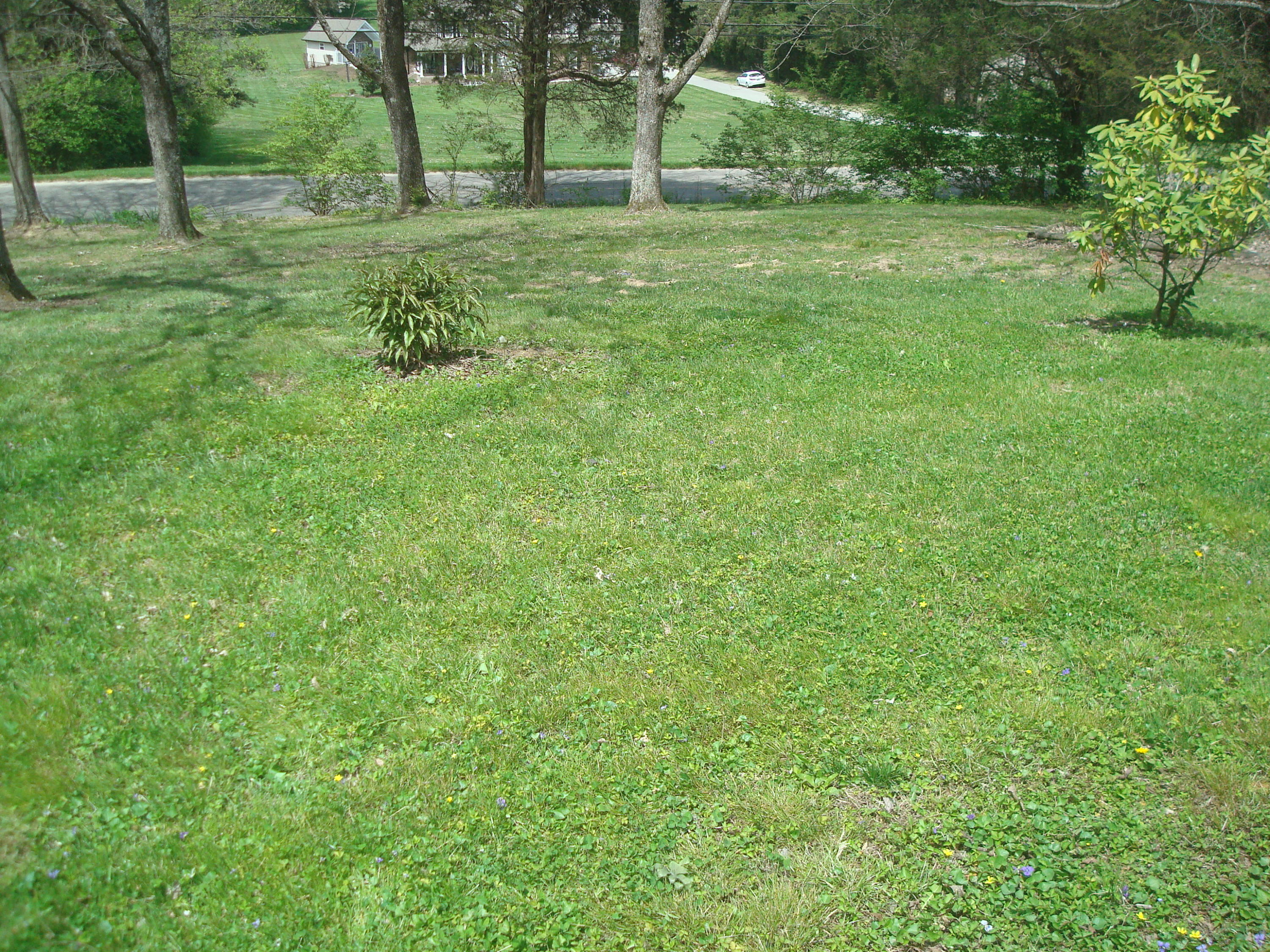 5316 Carter Road Knoxville, TN 37918 - Photo 3 of 17 DSC02435