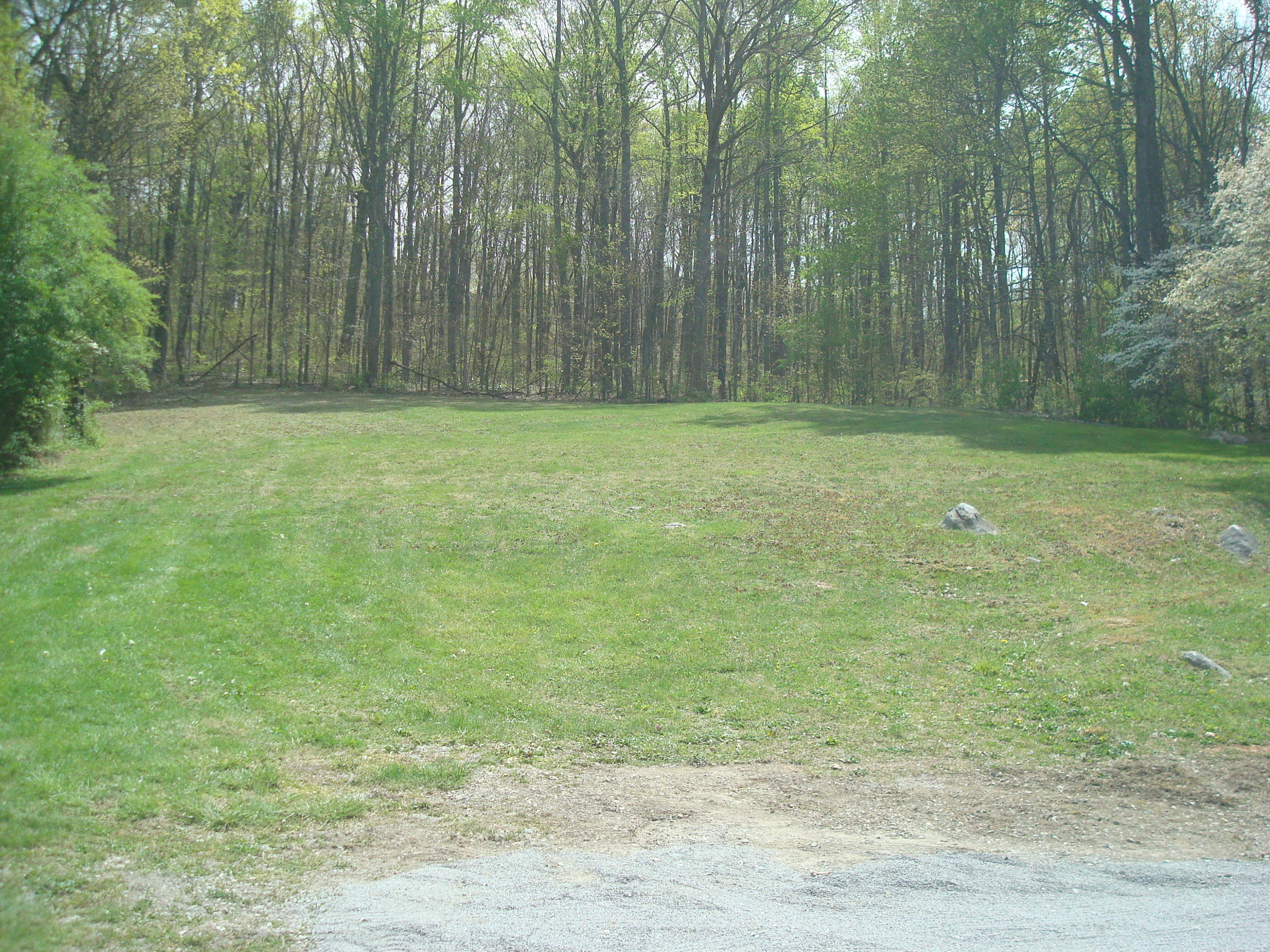 5316 Carter Road Knoxville, TN 37918 - Photo 5 of 17 DSC02437