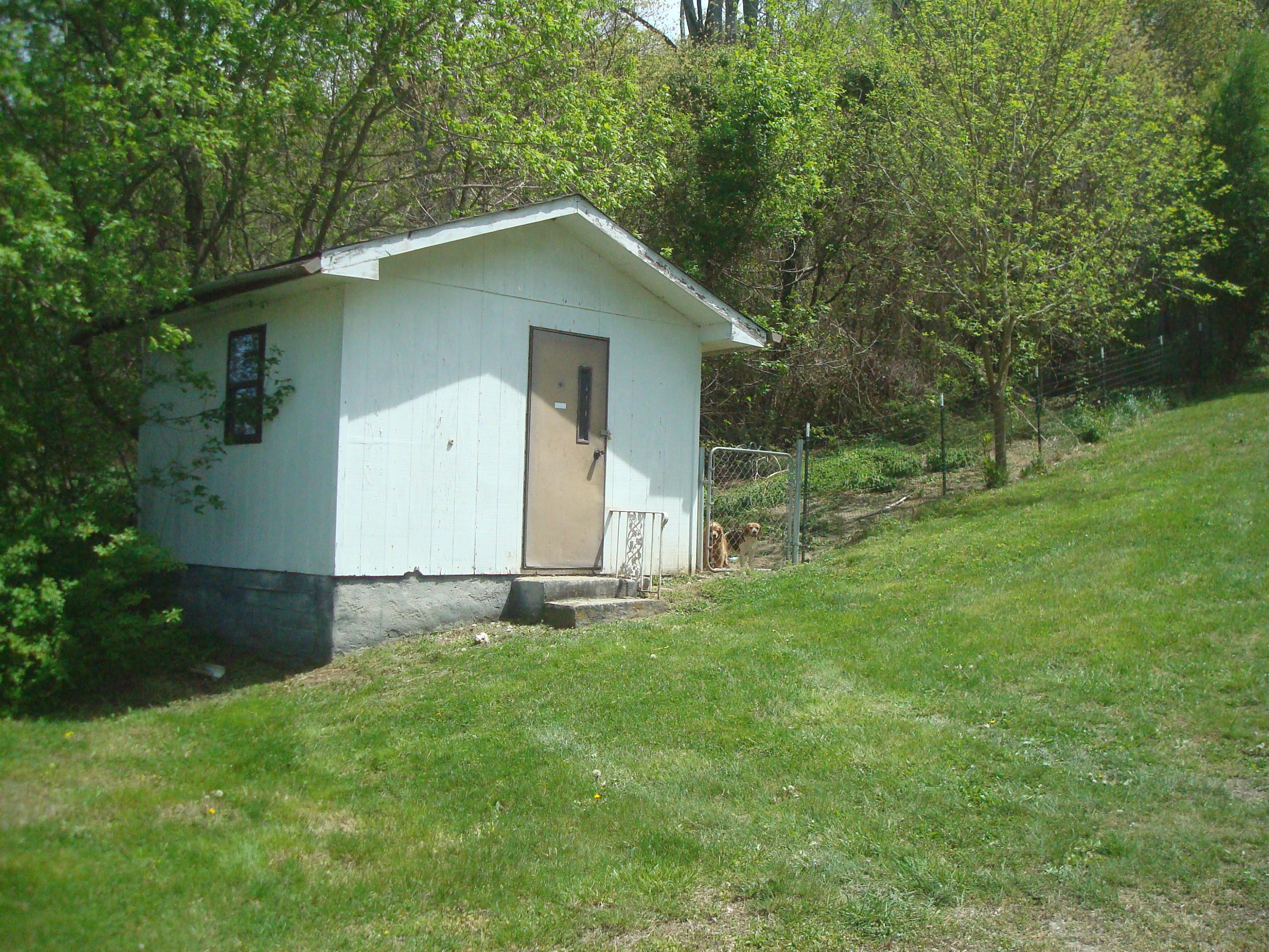 5316 Carter Road Knoxville, TN 37918 - Photo 6 of 17 DSC02438