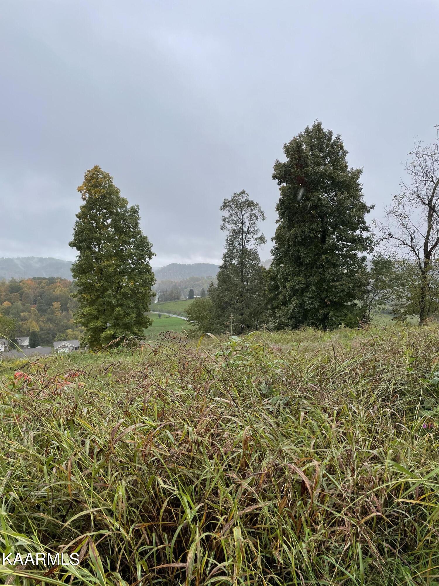 South Glen Road Maynardville, TN 37807 - Photo 1 of 4 PHOTO 1