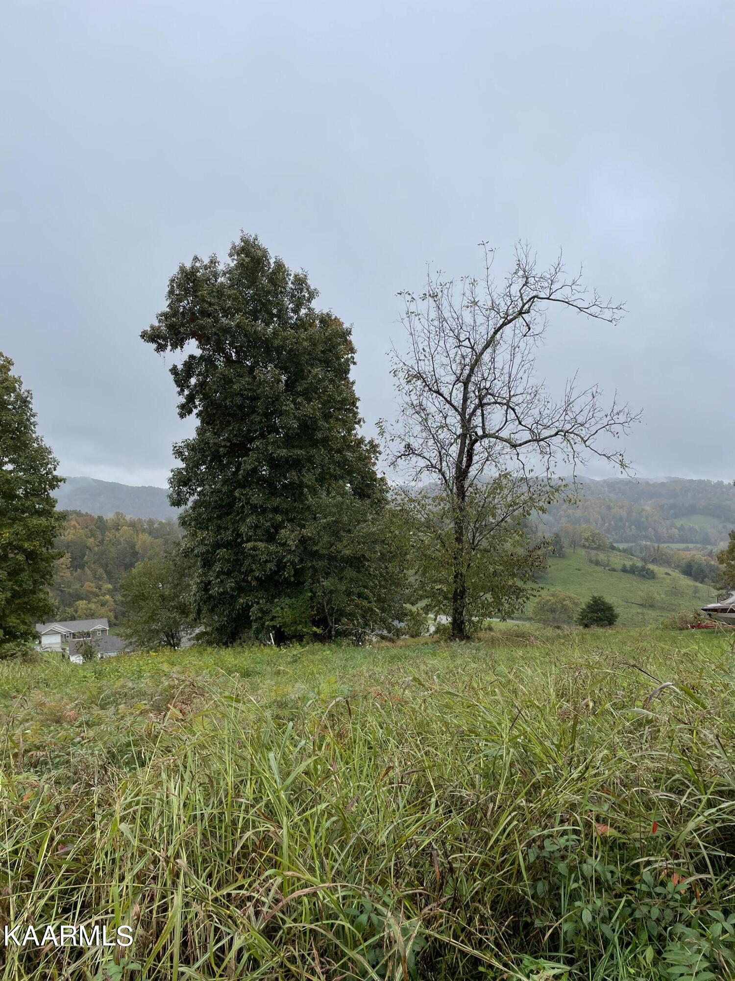 South Glen Road Maynardville, TN 37807 - Photo 2 of 4 PHOTO 2