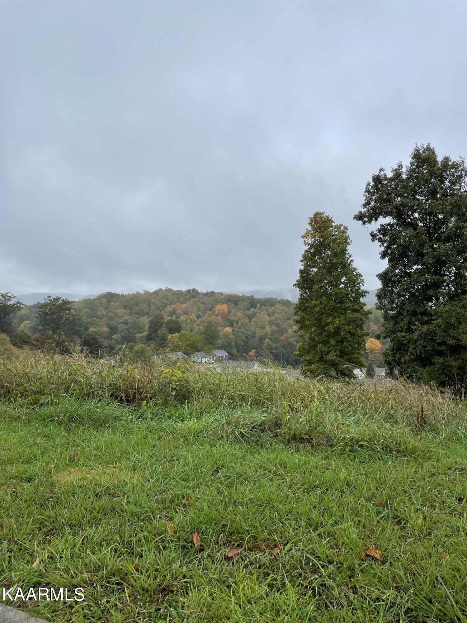 South Glen Road Maynardville, TN 37807 - Photo 3 of 4 PHOTO 3