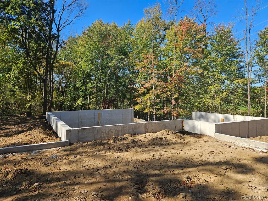 10767 North Latson Road Howell, MI 48855 - Photo 3 of 5