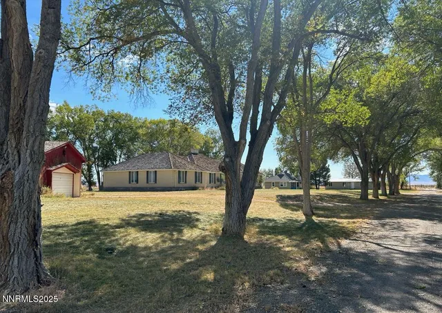 a view of a yard with a tree