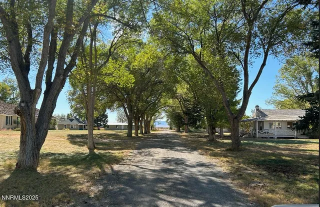 a view of road with trees