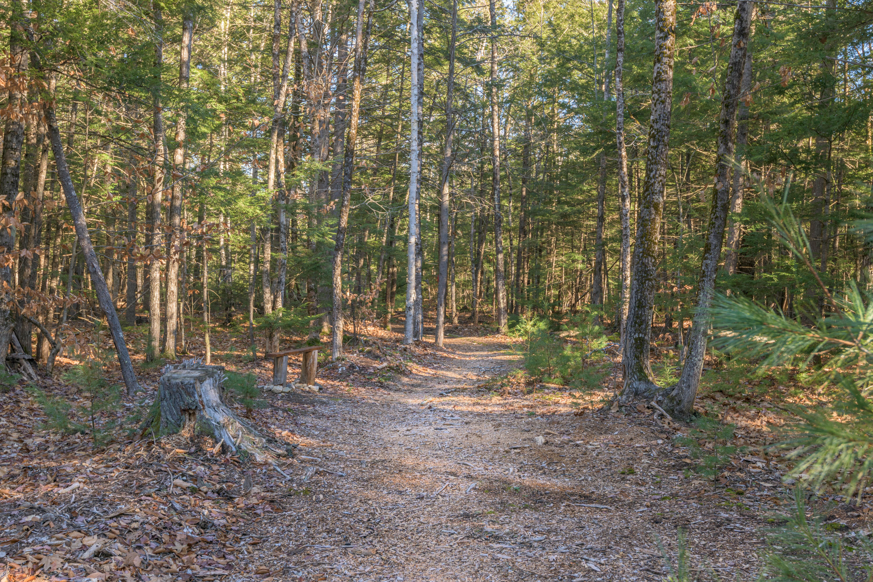 149 Buck Road Harrison, ME 04040 - Photo 40 of 41 41_149 Buck Road_PGM_Print