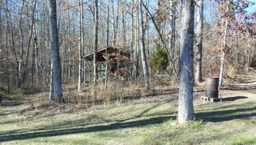 140 Spring Lane Philadelphia, TN 37846 - Photo 32 of 38 Additional Photo