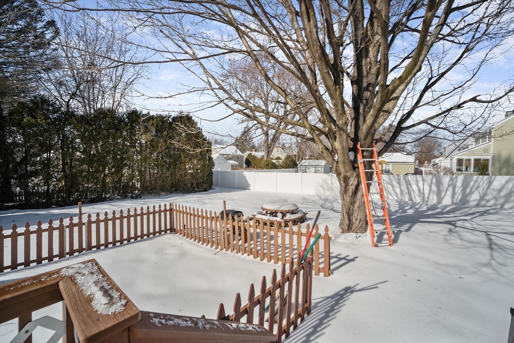 144 Gillette Avenue Springfield, MA 01118 - Photo 37 of 38 Gallery Image 37