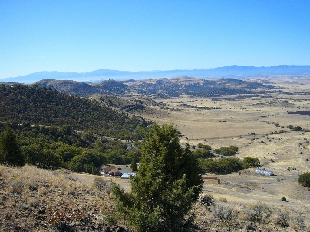 41 Acres Faith Road Montague, CA 96064 - Photo 5 of 14 Gallery Image 5