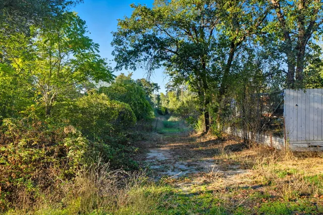 a view of backyard with green space