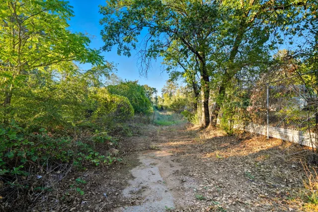 a view of a yard with large trees