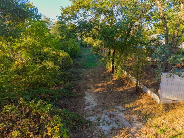 a view of a forest filled with trees