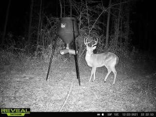 3-acres Singletary Road Slocomb, AL 36375 - Photo 12 of 15
