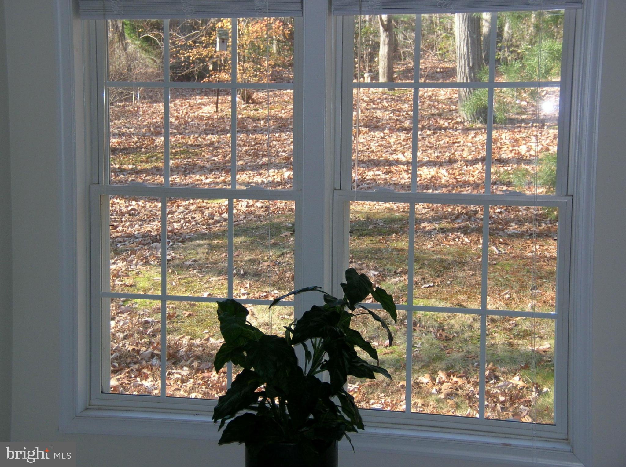 3412 Basford Road Frederick, MD 21703 - Photo 19 of 30 Bedroom (Master)