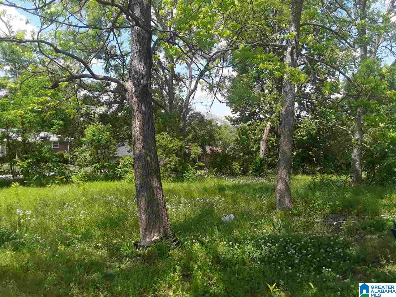 1930 Center Street South Birmingham, AL 35205 - Photo 2 of 3
