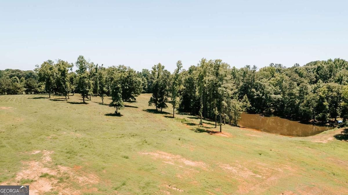 0 Mitchell Farm Road Colbert, GA 30628 - Photo 3 of 45