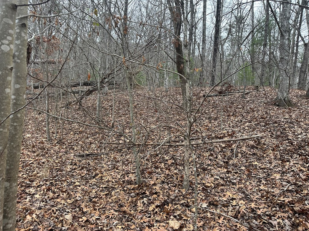 0 Marrestop Road Murphy, NC 28906 - Photo 13 of 14