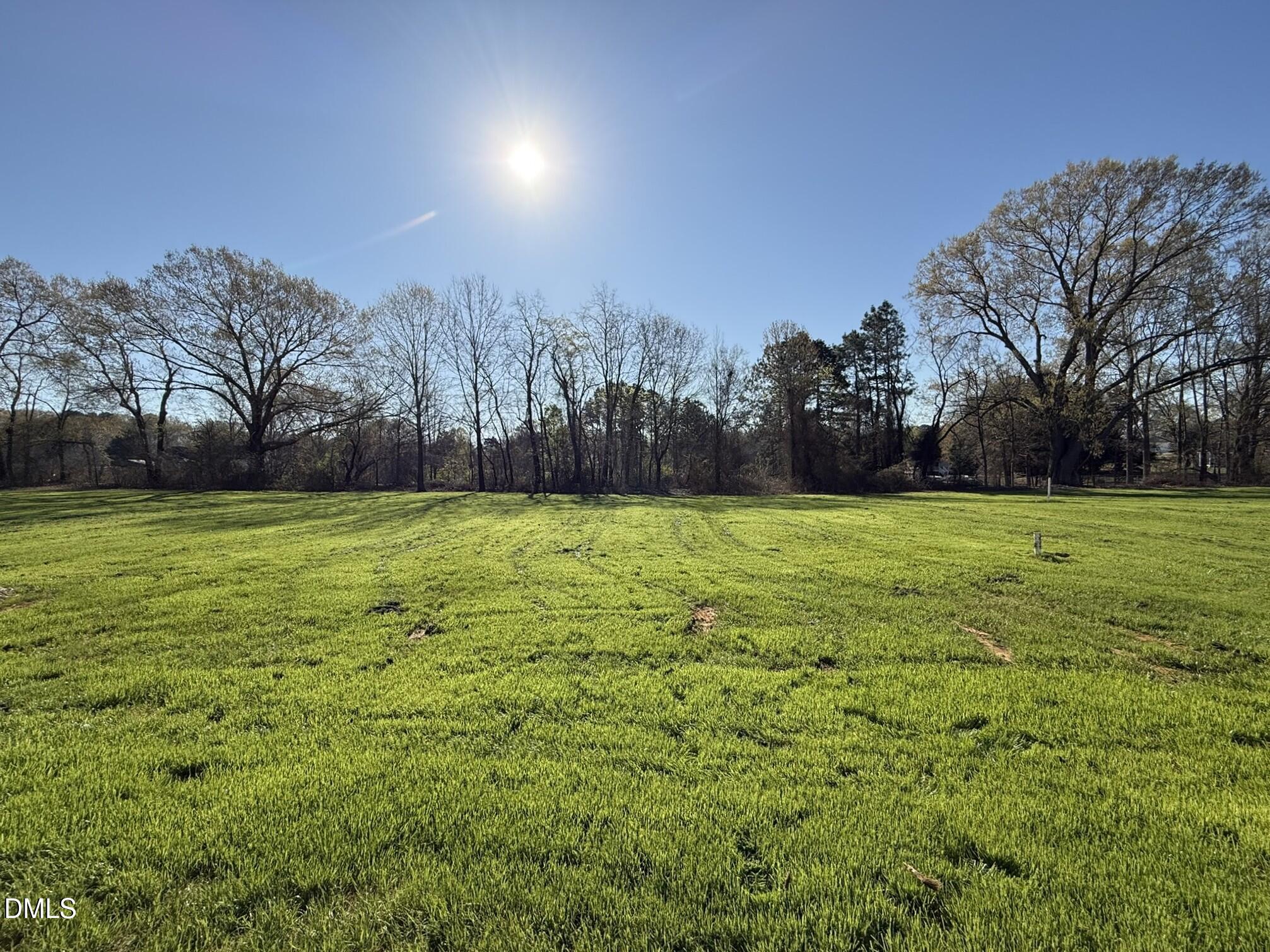 70 Hot Spgs Way Benson, NC 27504 - Photo 29 of 29 a view of a field with trees in the background