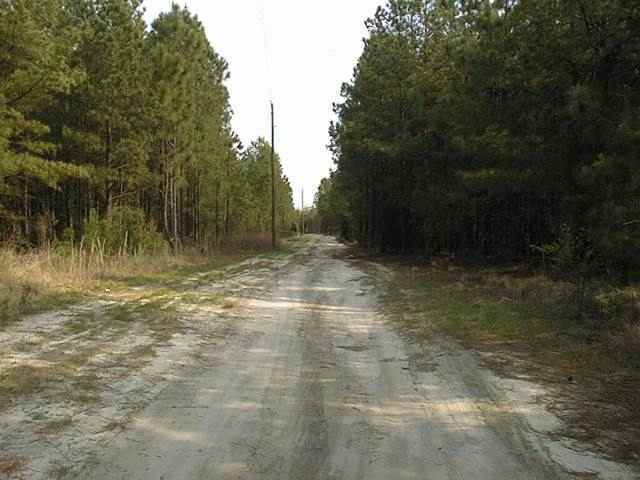 3811 Union Church Road Carthage, NC 28327 - Photo 3 of 9 Additional Photo