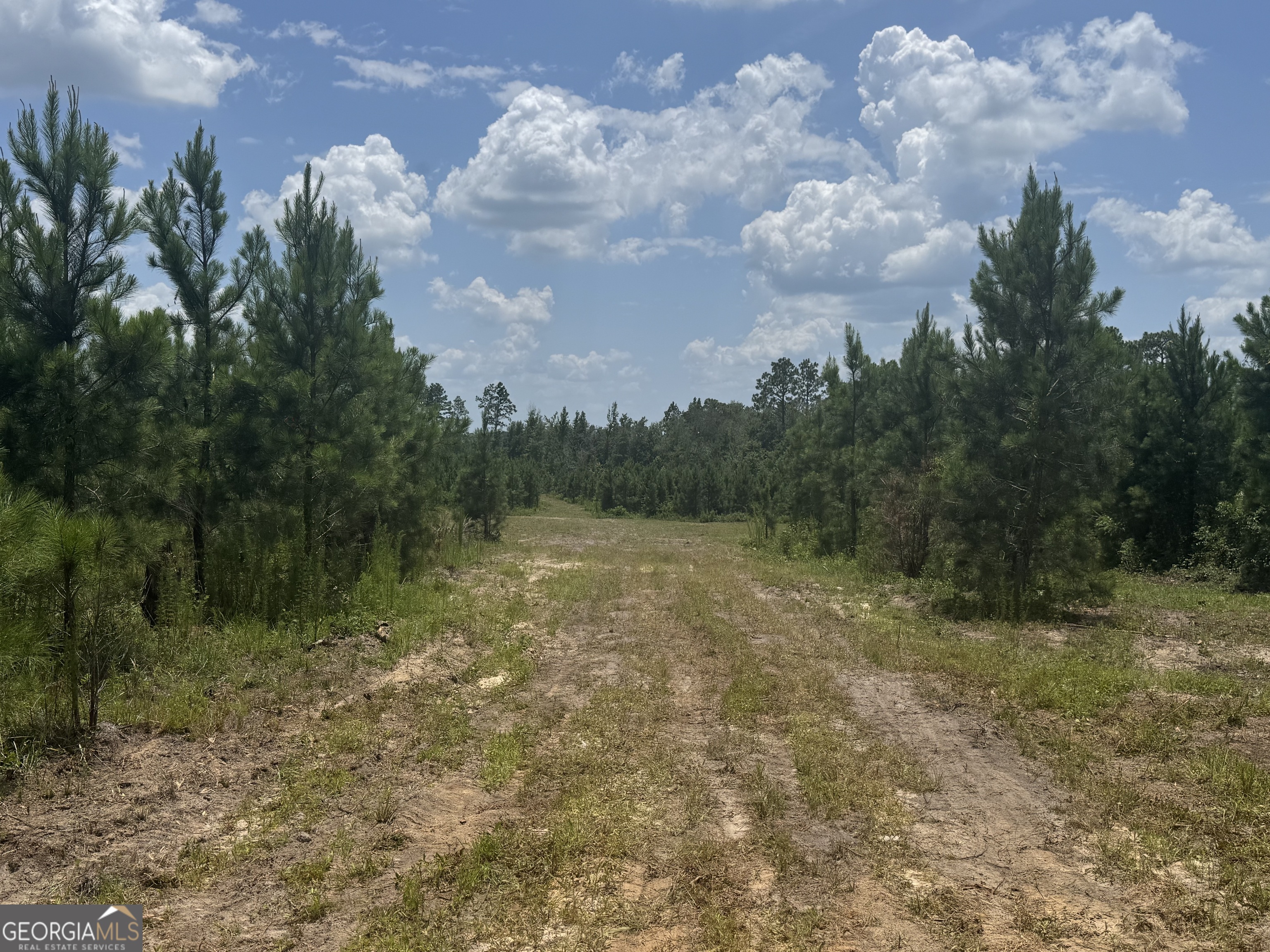 477 Keens Crossing Road East Dublin, GA 31027 - Photo 6 of 12