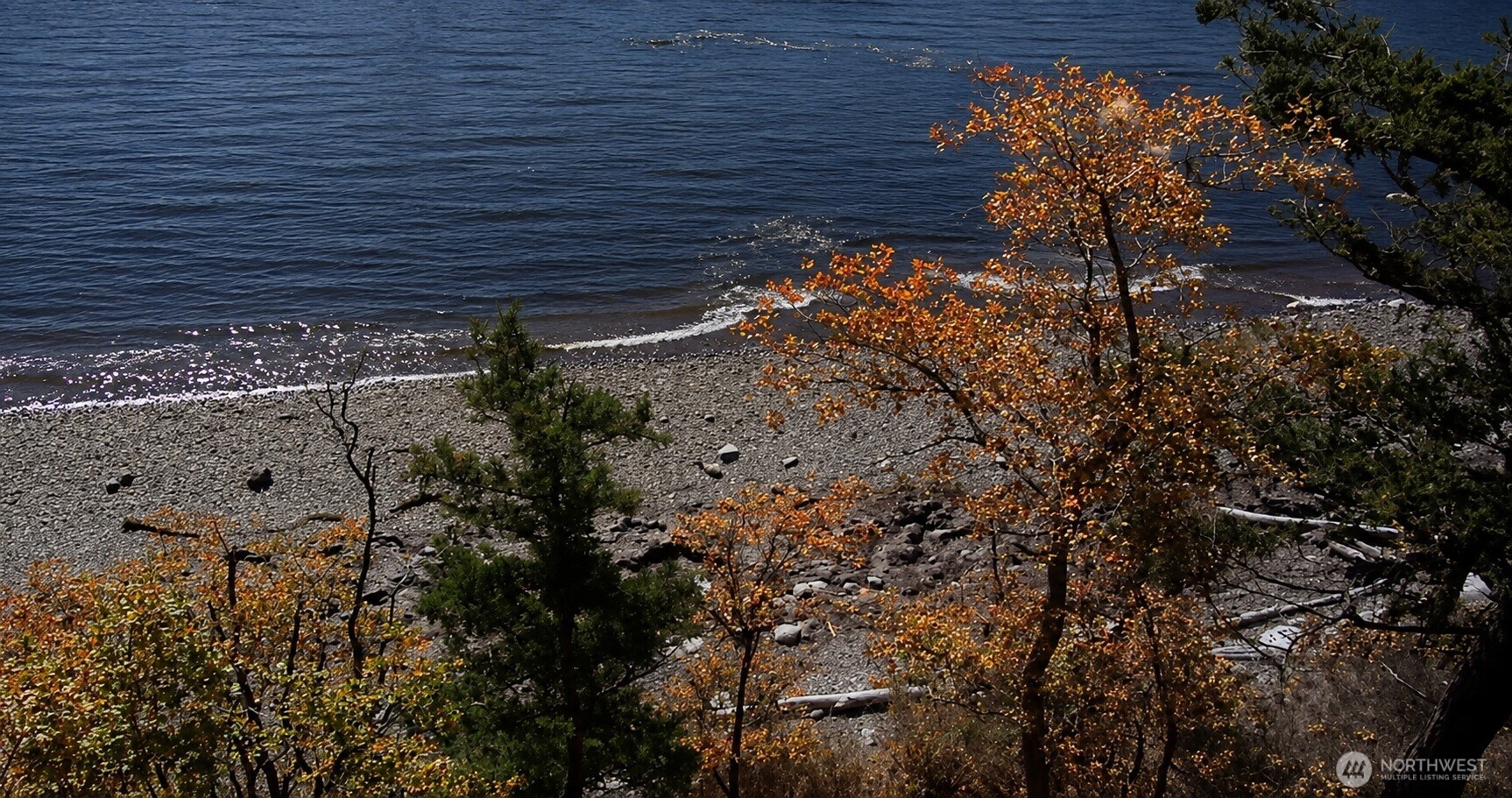 10405 Samish Island Road Bow, WA 98232 - Photo 4 of 36 Gallery Image 4