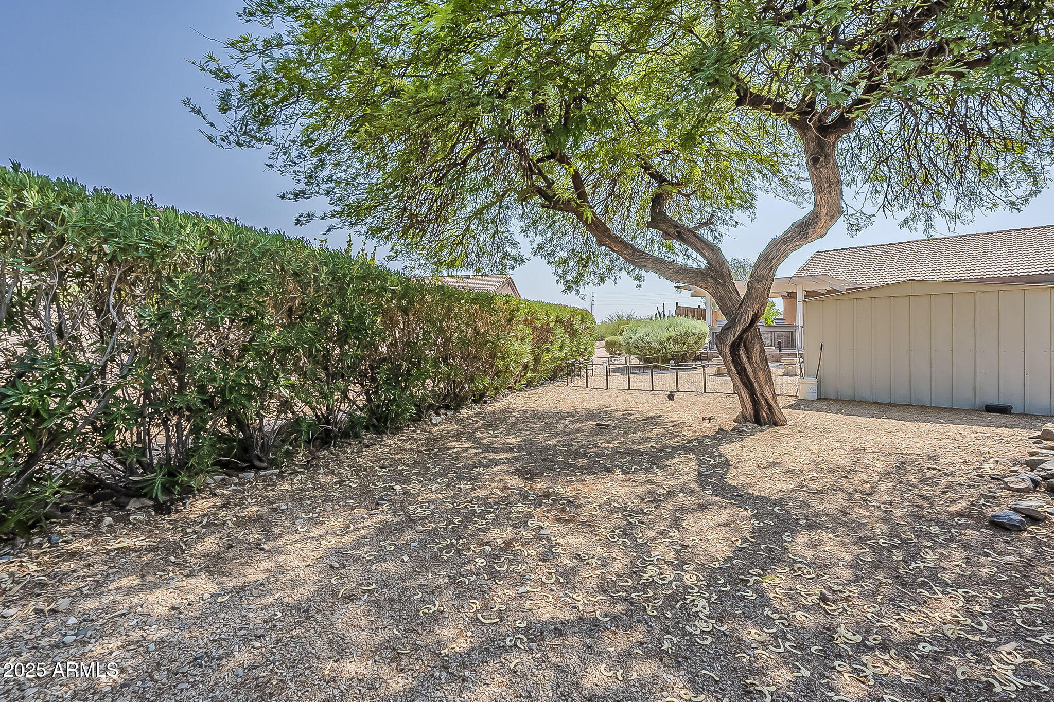 15205 North Ivory Drive, Unit B Fountain Hills, AZ 85268 - Photo 24 of 41 a view of a yard with plants and trees