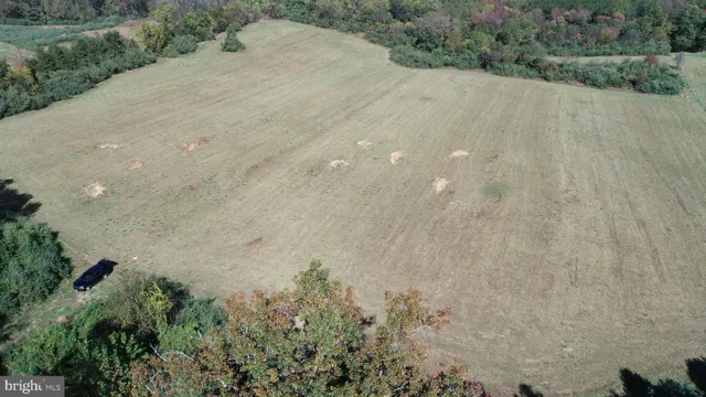 a view of a dry yard with a tree