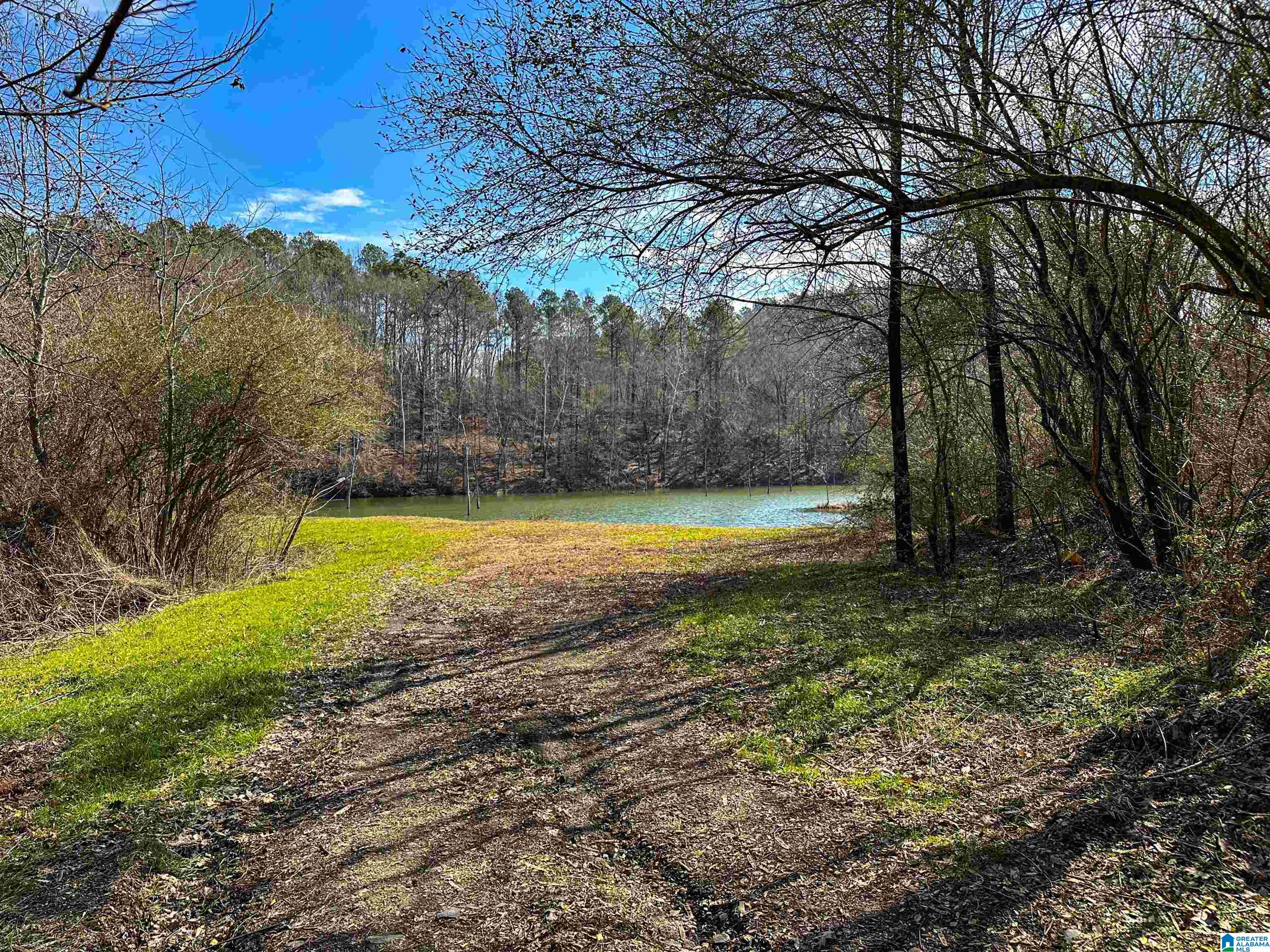1 Hull Road, Unit 1 Sumiton, AL 35148 - Photo 29 of 55 Gallery Image 29