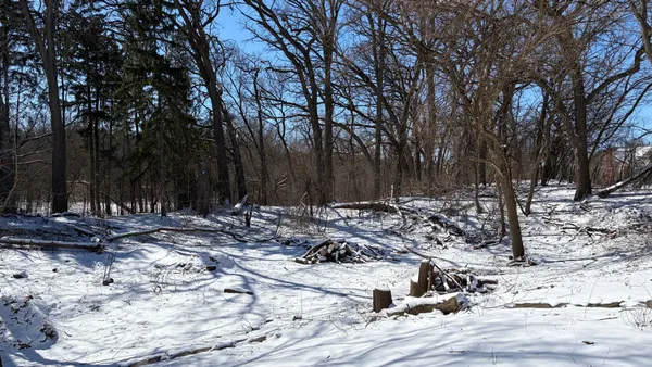 a view of outdoor space with trees