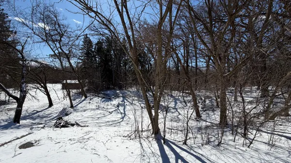a view of outdoor space with lots of trees