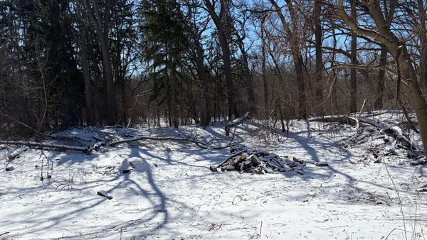 a view of outdoor space with trees