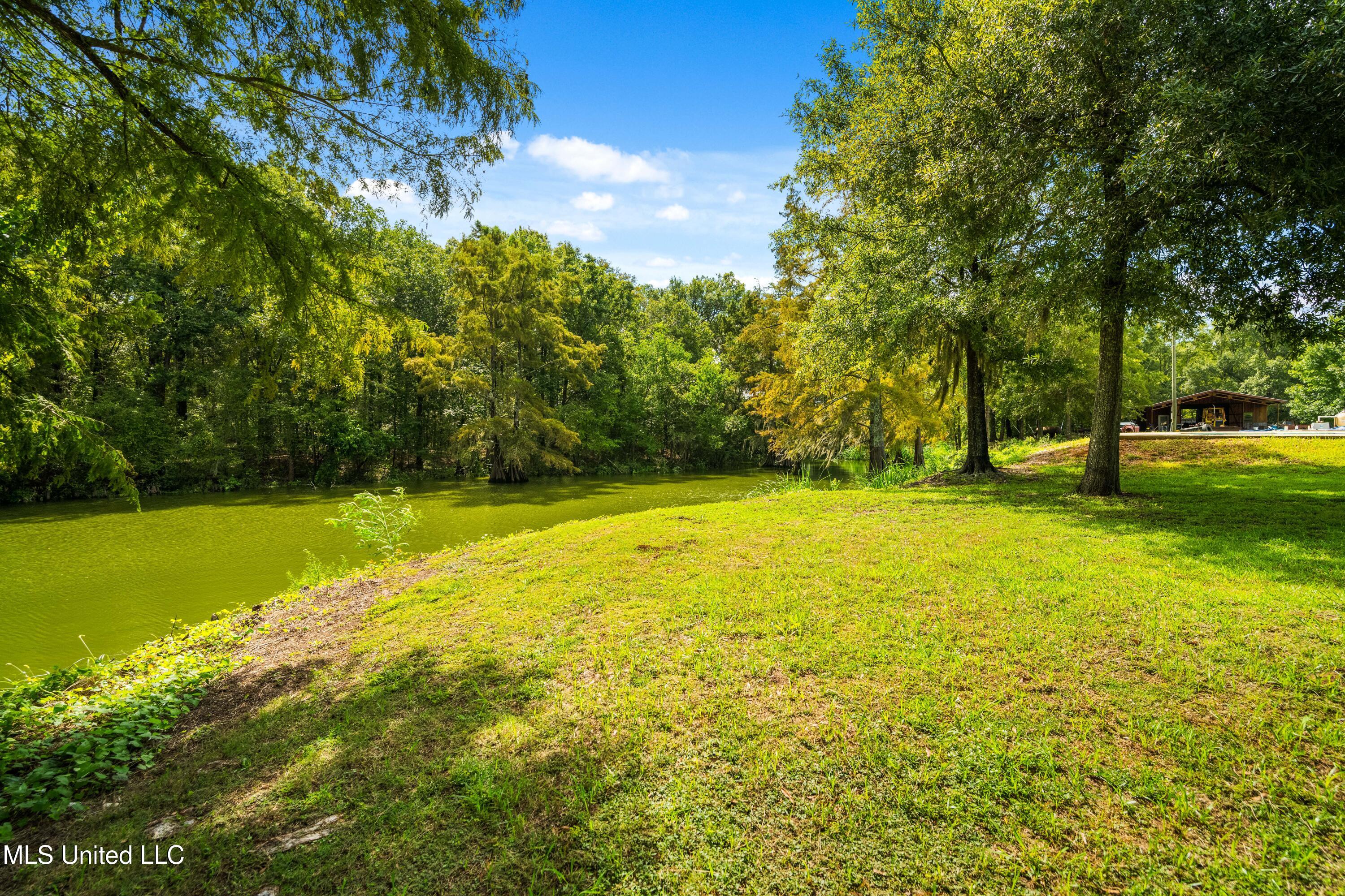 264 McCarthy Road Jonesville, LA 71343 - Photo 36 of 60 DSC_0984