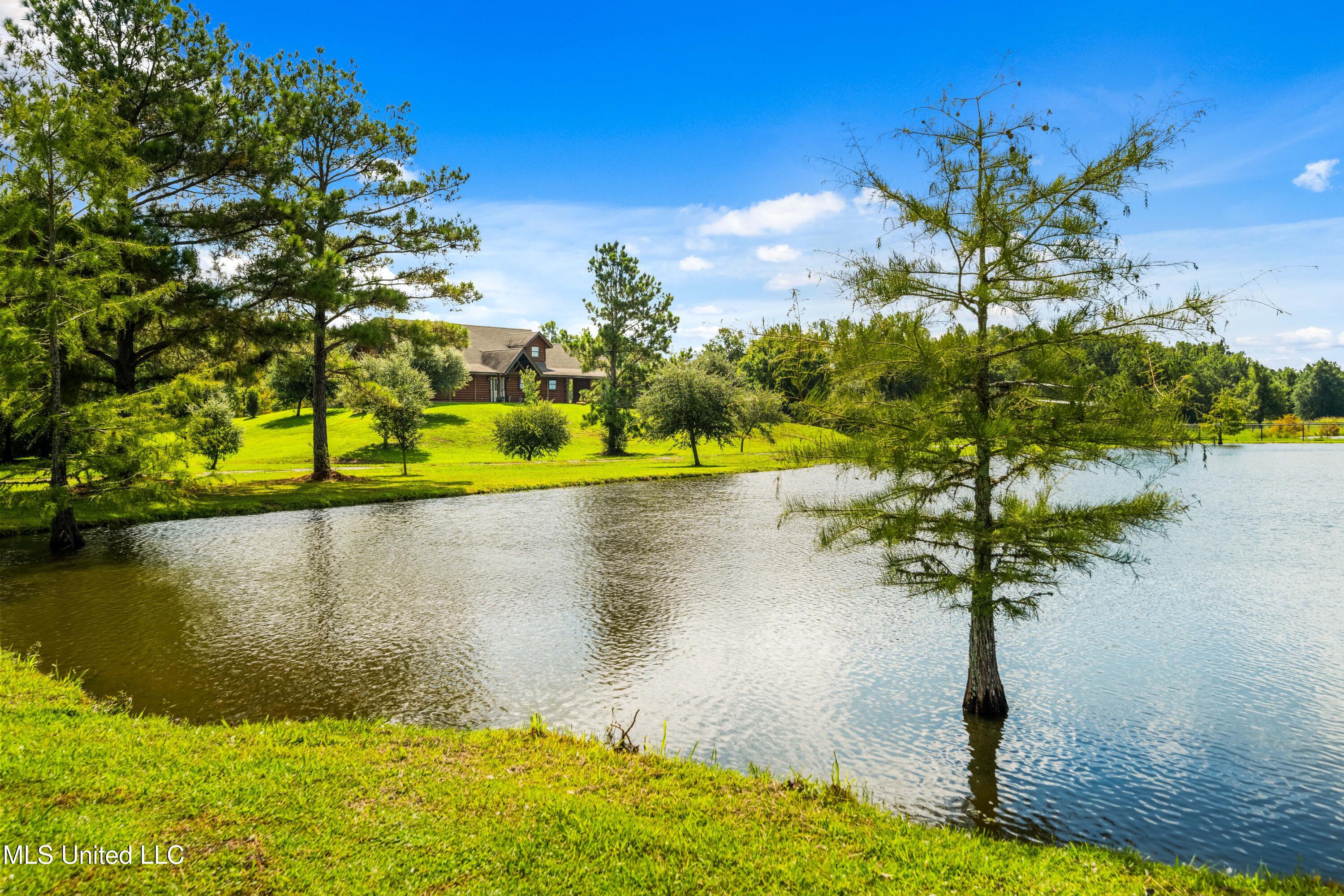 264 McCarthy Road Jonesville, LA 71343 - Photo 41 of 60 DSC_1008