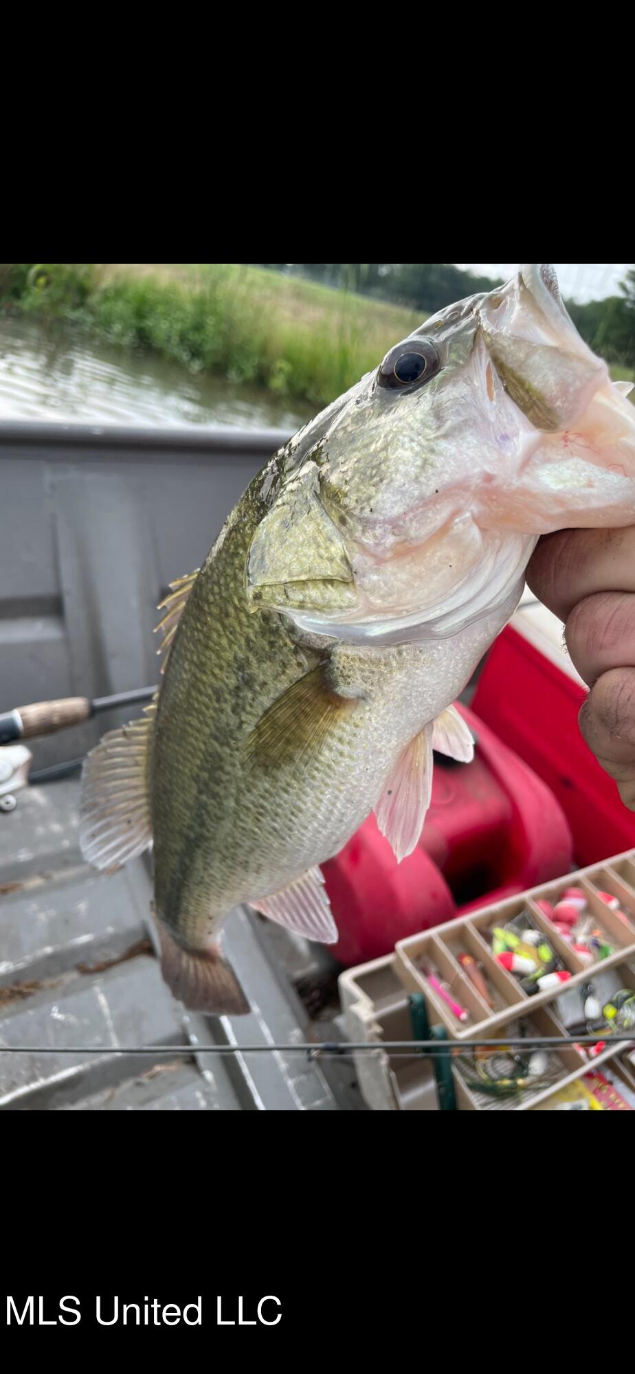 264 McCarthy Road Jonesville, LA 71343 - Photo 49 of 60 IMG_2335