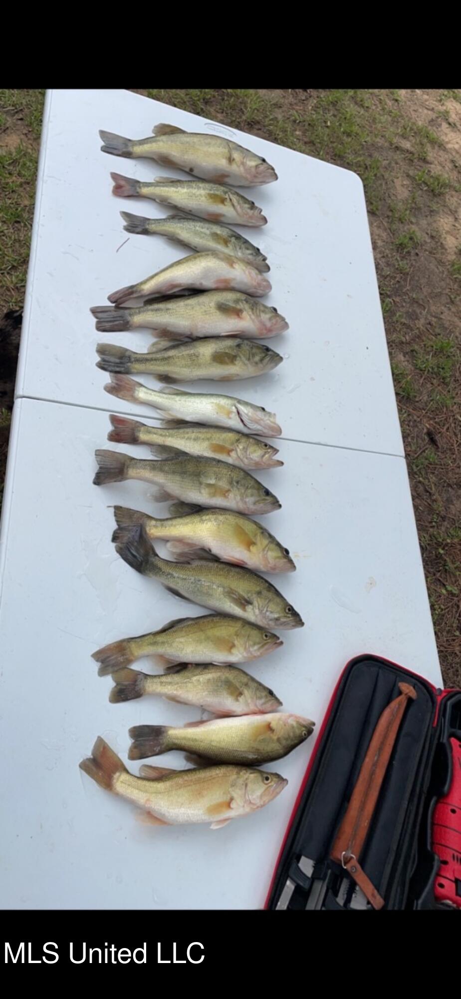 264 McCarthy Road Jonesville, LA 71343 - Photo 50 of 60 IMG_2336