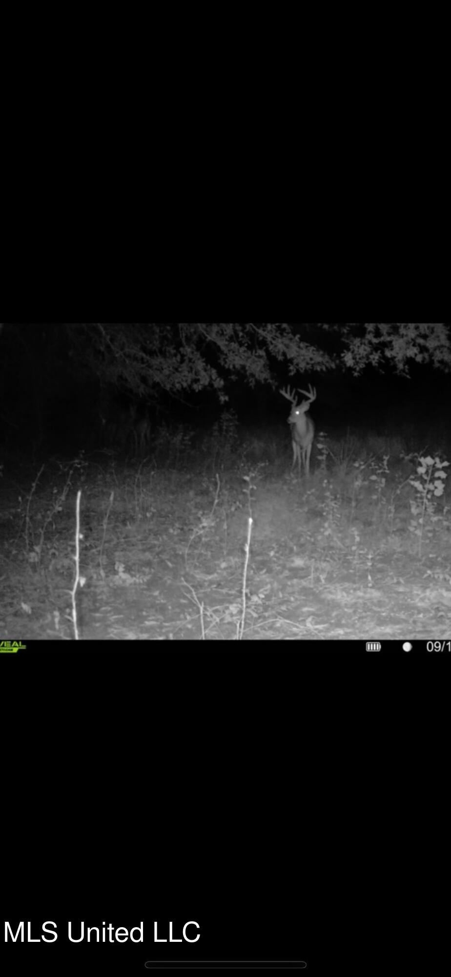 264 McCarthy Road Jonesville, LA 71343 - Photo 51 of 60 IMG_2337