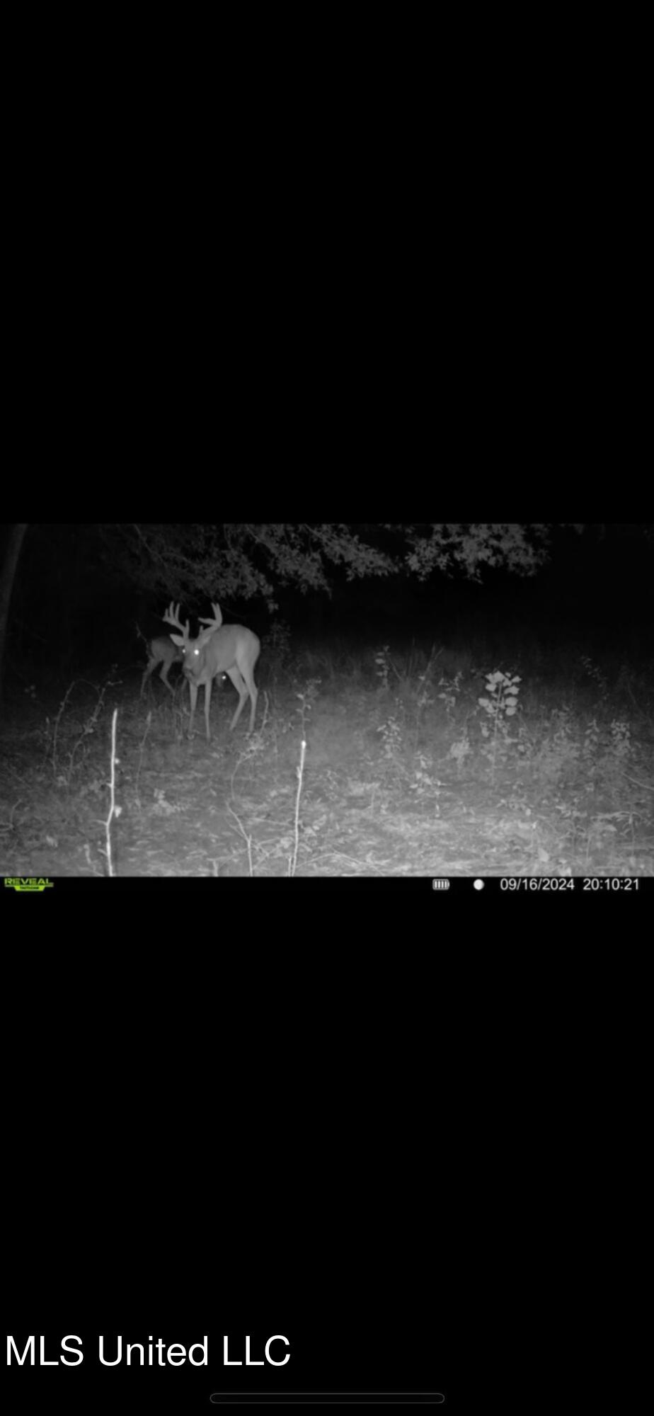 264 McCarthy Road Jonesville, LA 71343 - Photo 52 of 60 IMG_2338