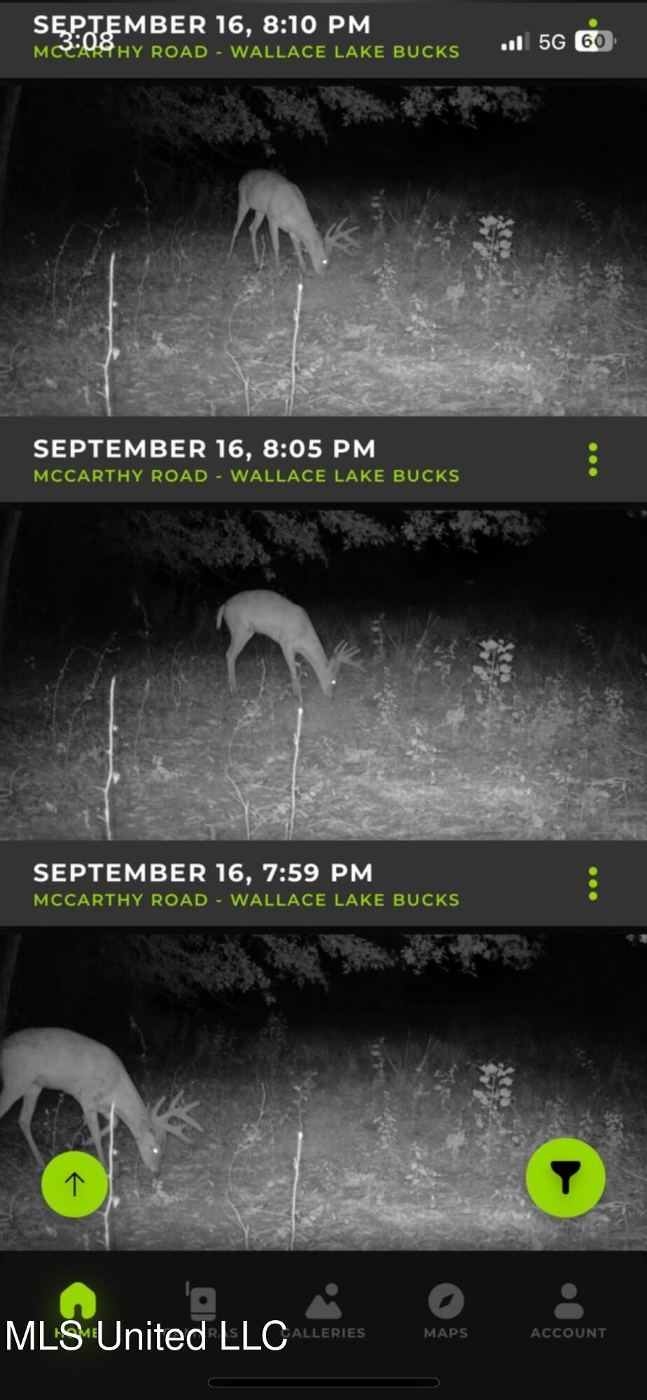 264 McCarthy Road Jonesville, LA 71343 - Photo 53 of 60 IMG_2339