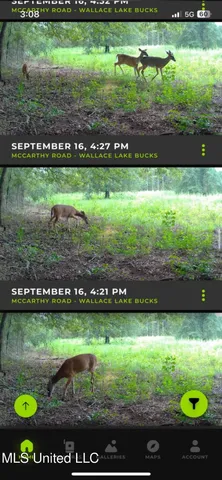 $580,000 | 264 McCarthy Road, Jonesville, LA 71343