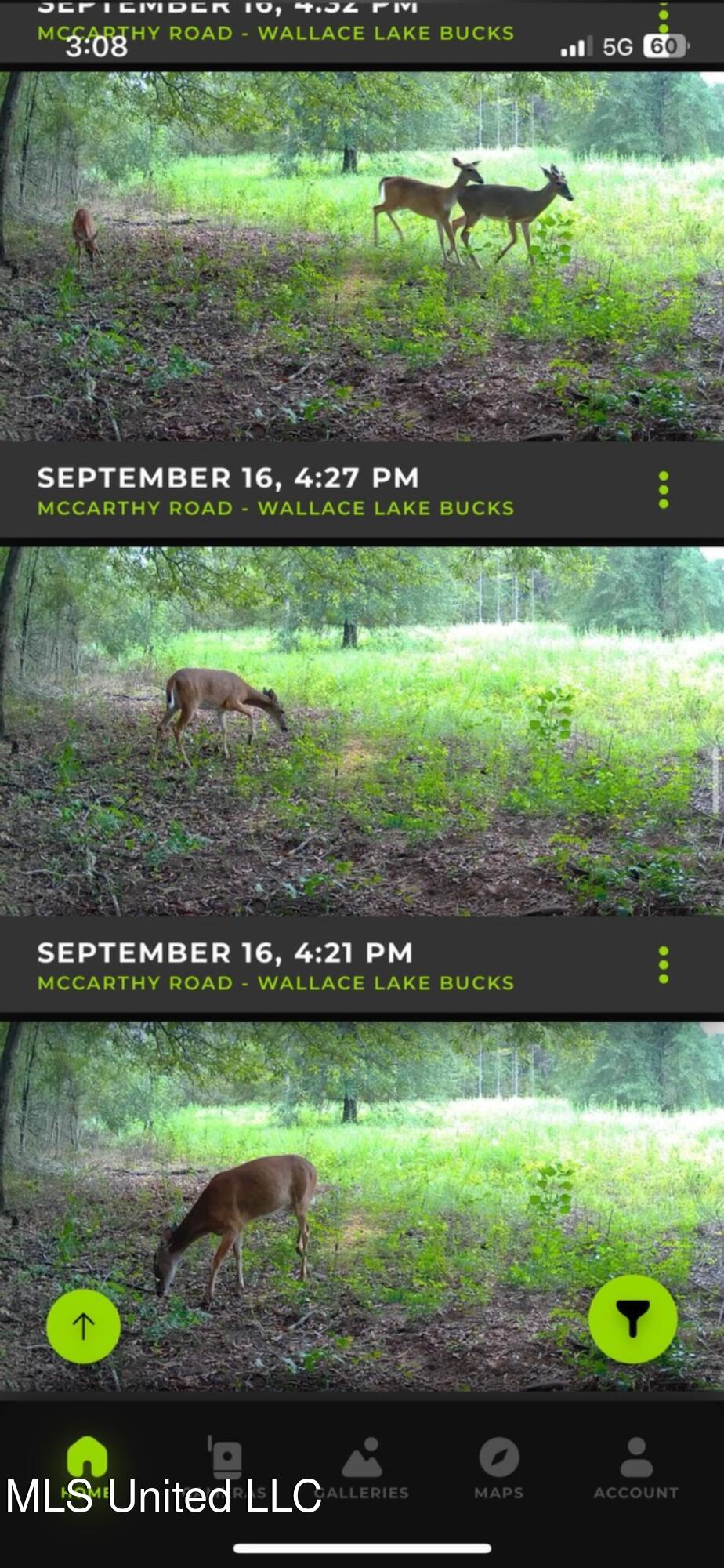 264 McCarthy Road Jonesville, LA 71343 - Photo 54 of 60 IMG_2340