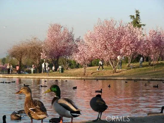 $989,000 | 7402 Haskell Avenue, Van Nuys, CA 91406